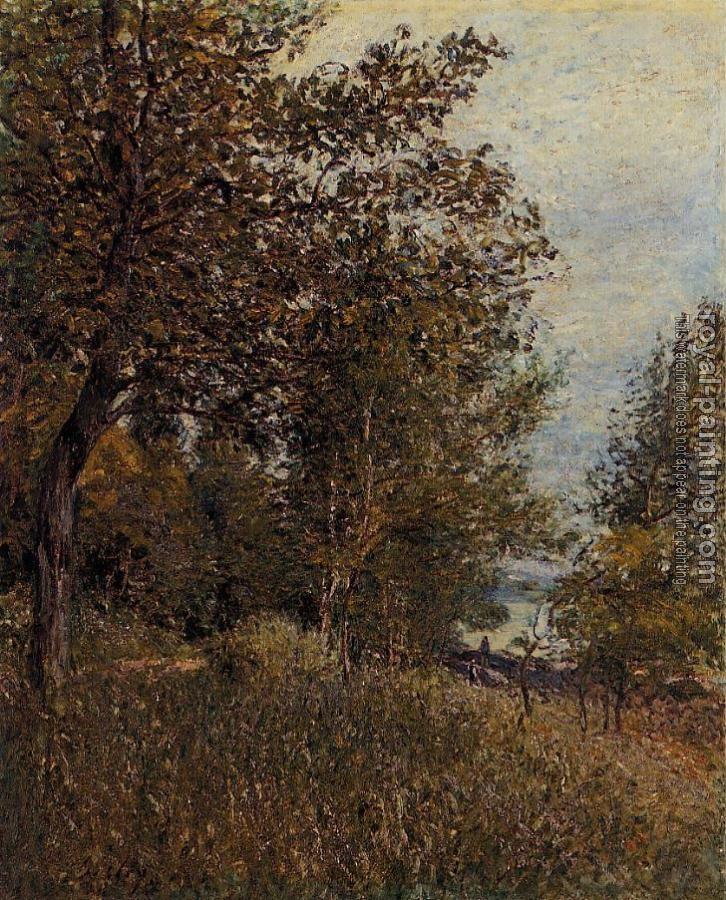Alfred Sisley : A Corner of the Roches-Courtaut Woods, June